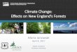 Climate Change: Effects on New England’s Forests