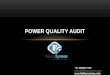 POWER QUALITY AUDIT- FELIDAE SYSTEMS