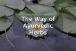 Metaphysical Herbs