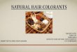 Natural hair colorants