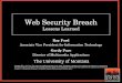 Web Security Breach