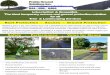 Landscaping and Arborist Brochure