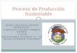 Proceso de producción sustentable