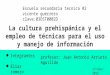 La cultura prehispanica y el empleo de tecnicas para el uso y menejo de informacion
