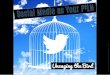 Social Media as Your P2LN: Uncaging the bird
