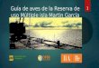 Guía de aves de la Reserva Provincial de uso Multiple isla Martin Garcia