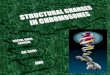 Structural changes in chromosomes