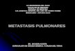 Metastasis Pulmonares