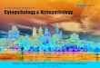 Cytopathology 2017_Brochure