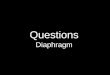 Questions Diaphragm