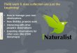What do to with iNaturalist after your BioBlitz