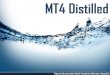 Mt4 distilled (3)