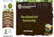 The Global Soil Partnerhsip, Ronald Vargas