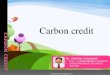 Carbon credits by vins
