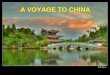 454 Jub Tf Xina Voyage