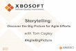 Storytelling: Discover the Big Picture for Agile Efforts Webinar - Tom Cagley, Phil Lew