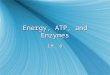 AP Biology Energy, atp, and enzymes