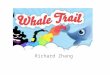 Whale trail