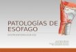 Gastroenterología- patología esófago