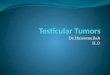 Testicular tumor final