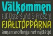 Nordic narrow pro font family download