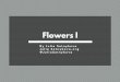 Julia Sotnykova Presents: Flowers I