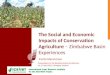 The Social and Economic Impacts of Conservation Agriculture