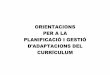 Orientacions per a la planificació d'adaptacions del Curriculum (Onrubia, Llansana i altres)
