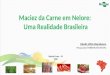 Seminário ANCP 2016 – Cláudio Magnabosco – Maciez da Carne em Nelore: Uma Realidade Brasileira