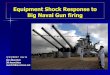 Big Naval Gun Shock Response
