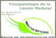 Fisiopatologia de la Lesion medular