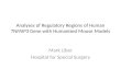 Analyses of Regulatory Regions of Human TNFAIP3 Gene