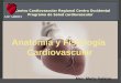 Anatomía y fisiología cardiovascular