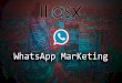 WhatsApp Marketing 2016