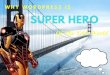 Why WordPress is Superhero? - WordPress Development Company