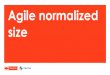 Nesma autumn conference 2015 - Agile normalized size - Theo Prins
