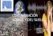 Contaminacion sonica y del suelo