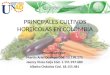 Principales cultivos hortícolas en colombia   copia