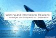 Whaling and International Relations: Challenges and Prospects for Cooperation