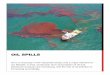 Oil spills and its environemental impact