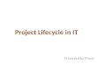 Project lifecycle in IT industry