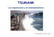 D R L  Tsunami2 Retocado