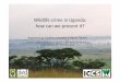 Wildlife crime in Uganda: how can we prevent it?