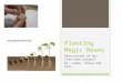 Planting magic beans