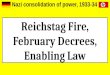 Consolidation of Nazi Power - reichstag fire, february decrees, enabling act