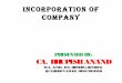 Cs executive company accounts and auditing