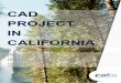 CALIS - Business Plan - CAD Project in Galt California