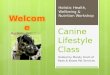 Canine Lifestyle Class Slideshow