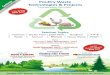 Poultry Waste technologies & projects