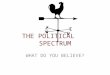 Political spectrum lib v cons